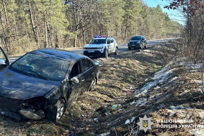 Нетішинець намагався уникнути наїзду на собаку та з’їхав у кювет