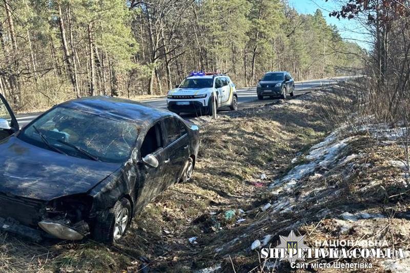 Нетішинець намагався уникнути наїзду на собаку та з’їхав у кювет