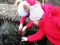 Шепетівські юннати здобули друге місце зі своєю навчально-дослідною земельною ділянкою