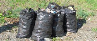 Шепетівчанка сплатить до 1360 грн штрафу за своє свинство