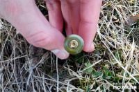 17-річний підліток намагався розібрати боєприпас