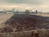 На Шепетівщині затримано чергових паліїв сухої рослиності