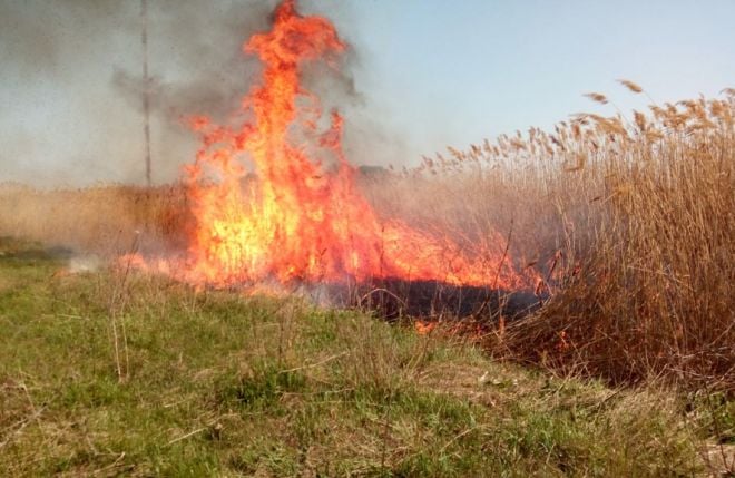 Рятувальники звертаються до населення не провокувати пожежі на відкритих місцевостях