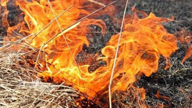 На Шепетівщині за добу ліквідували три пожежі
