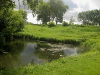 Хоморські заплави