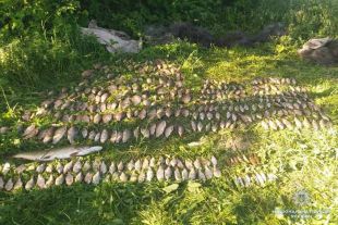Шепетівчанин незаконно виловив риби на 26 520 грн, а заплатить всього 1700 гривень штрафу