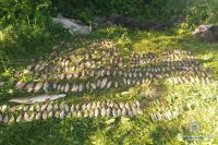 Шепетівчанин незаконно виловив риби на 26 520 грн, а заплатить всього 1700 гривень штрафу
