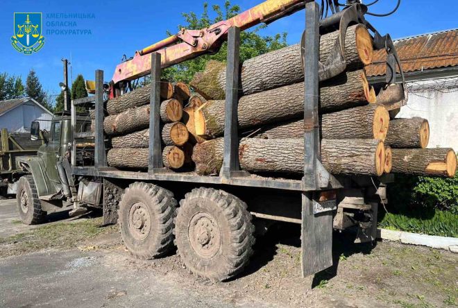 На Шепетівщині комунальне підприємство підозрюють в незаконній вирубці дубів під &quot;кришуванням&quot; правоохоронця