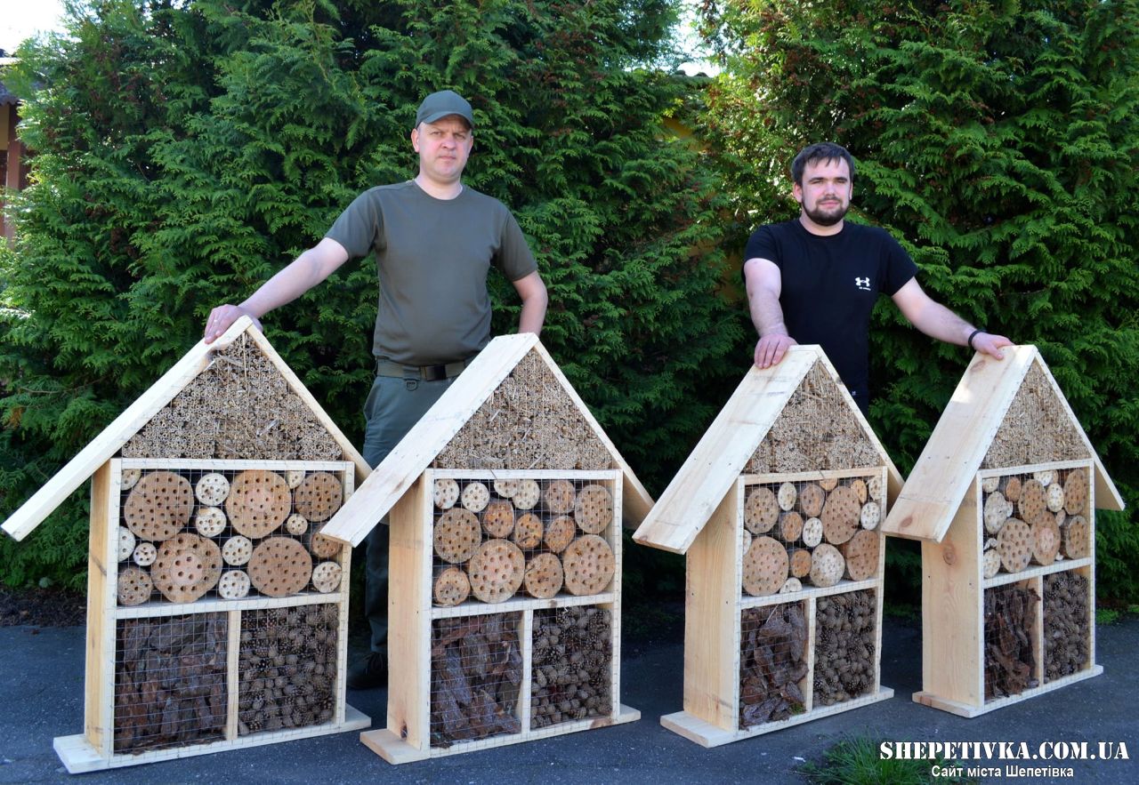 У лісах Шепетівщини встановлюють будиночки для комах: звідки цей тренд і для чого
