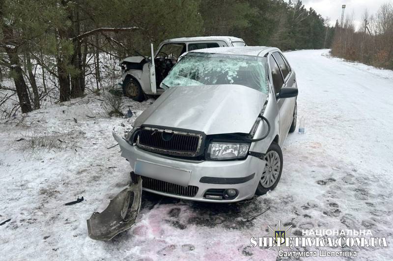 На Шепетівщині «лоб в лоб» зіткнулись два автомобілі: водіїв ушпиталили