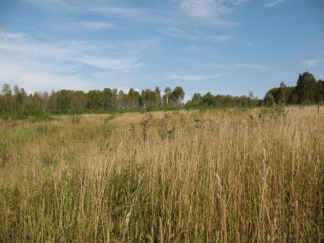 На Шепетівщині скасували аренду більше 500 гектарів землі