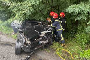Поблизу Шепетівки внаслідок автотрощі травмувалось дві людини