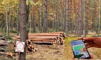 "Ліс у смартфоні": кожен може перевірити законність рубок