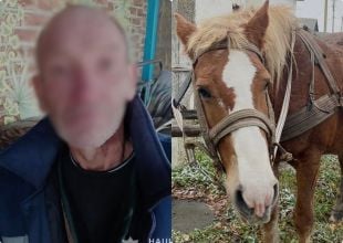 На Шепетівщині чоловік облаштовував господарство, щоправда за рахунок сусідів