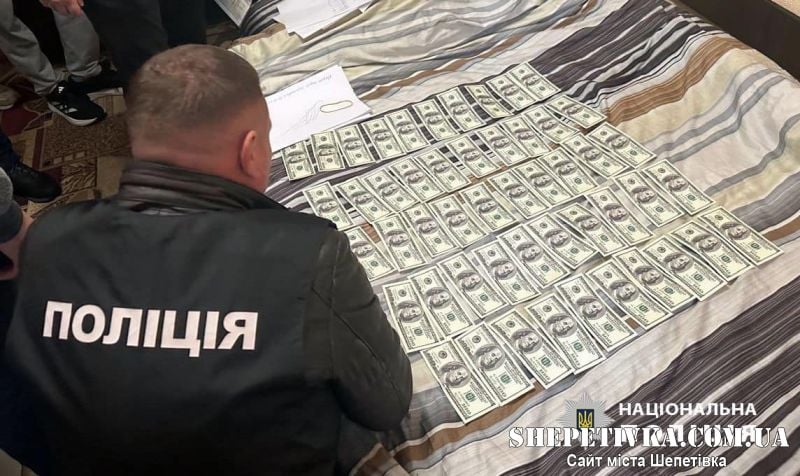 Понад 200 тис грн за непридатність: на Хмельниччині підозру отримав організатор «схеми»