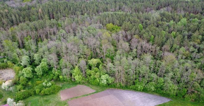 На Шепетівщині повернули державі понад 284 га лісу