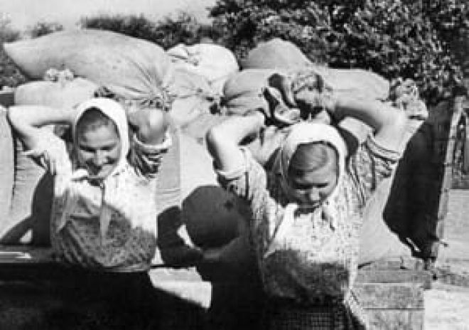 Остання акція сталінського керівництва щодо селян