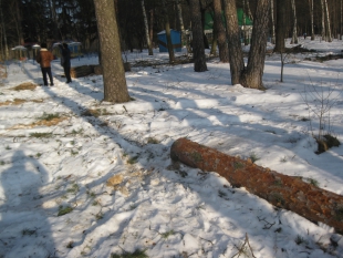 Парк поки що перестали вирізати