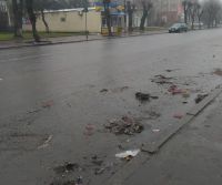 Головний комунальник Шепетівки власноруч прибрав після "базару"