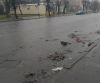 Головний комунальник Шепетівки власноруч прибрав після "базару"