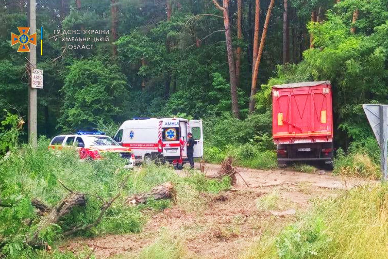 На околиці Шепетівки водій вантажівки "прорідив" лісосмугу
