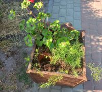 Над нетішинським парком знову поглумилися вандали