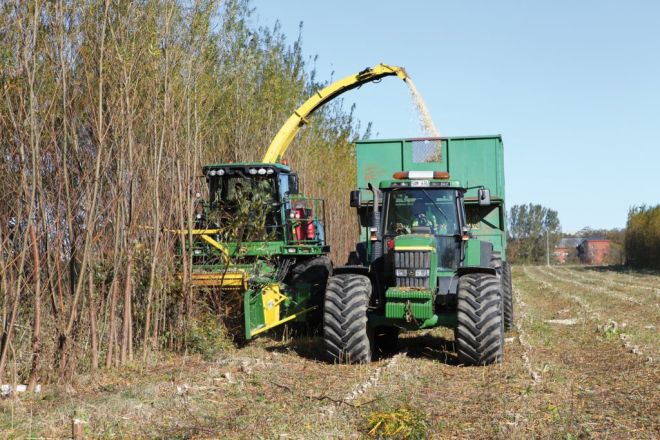 На Шепетівщині три громади отримають 2 млн грн на вирощування енергетичної верби