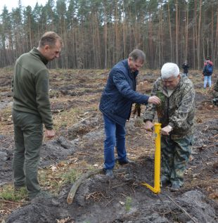 У Шепетівському лісгоспі проводять осінню посадку модрини, сосни, дугласії