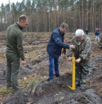 У Шепетівському лісгоспі проводять осінню посадку модрини, сосни, дугласії