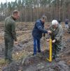 У Шепетівському лісгоспі проводять осінню посадку модрини, сосни, дугласії