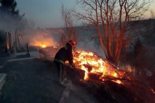 Спалювання сухої трави ледь не спричинило пожежу міського кладовища