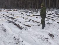 Прокуратура вимагає повернення ще 8 га ландшафтного парку «Мальованка»