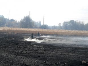 На Шепетівщині горять торфовища