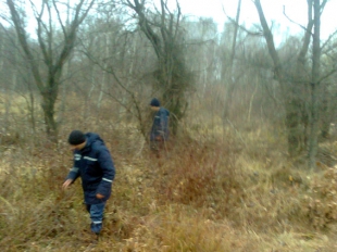 Рятувальники надали допомогу в пошуку дворічної дитини