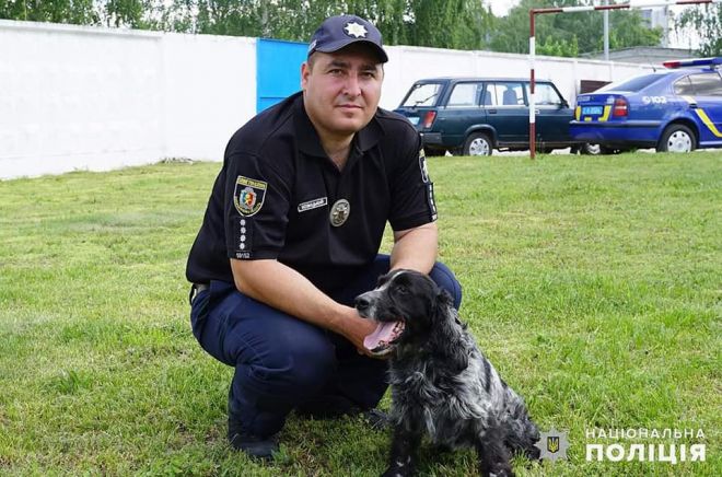 Чотирилапих помічників сьогодні вітають зі святом