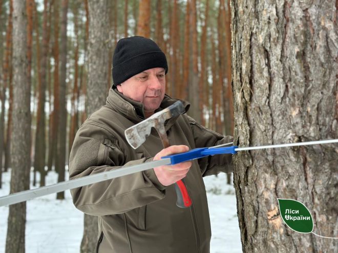 Відтепер кожен бажаючий може бути присутнім під час відведення лісових ділянок в рубки