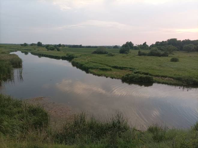 Річка Хомора в Новоселиці