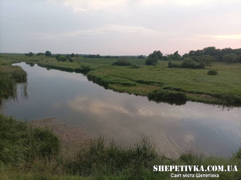 Річка Хомора в Новоселиці