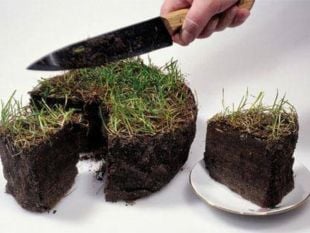 На Шепетівщині намагаються отримати безкоштовно земельні ділянки двічі