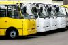 На Шепетівщині відбудеться новий конкурс перевізників