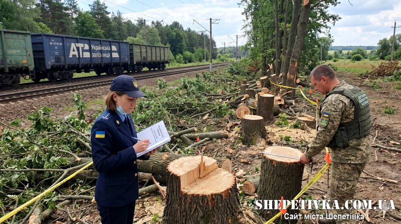 «Укрзалізниця» сплатить понад 280 тисяч гривень за незаконну рубку дерев на Шепетівщині