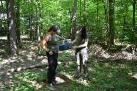 На Шепетівщині повернули в дику природу двох птахів після реабілітації