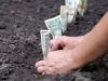 4,5 мільйони грн отримала Шепетівська міська рада за продаж 8 земельних ділянок