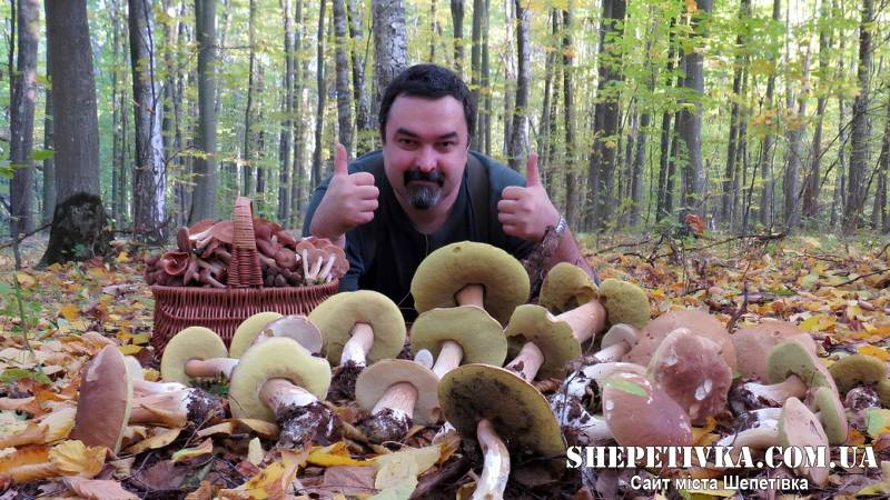 Павло Мартинюк у лісі із зібраними грибами
