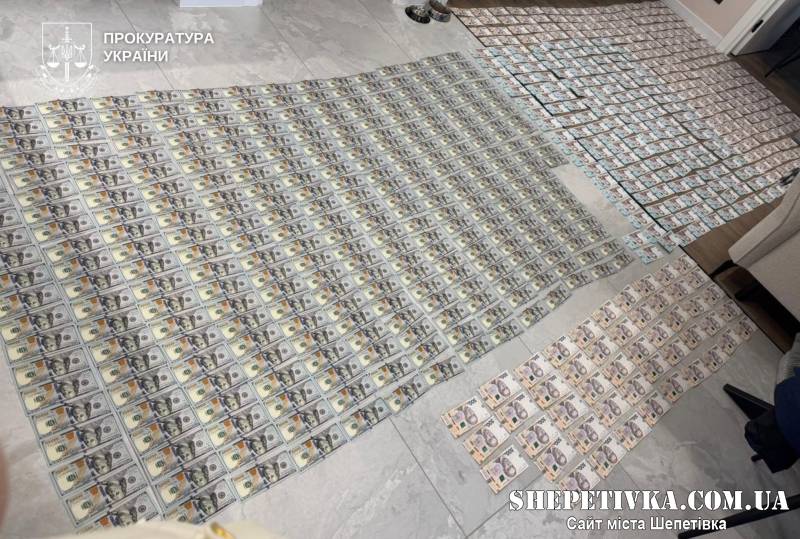 3500 доларів за відстрочку від мобілізації: у Хмельницькому відправили під варту лікарку та підприємицю