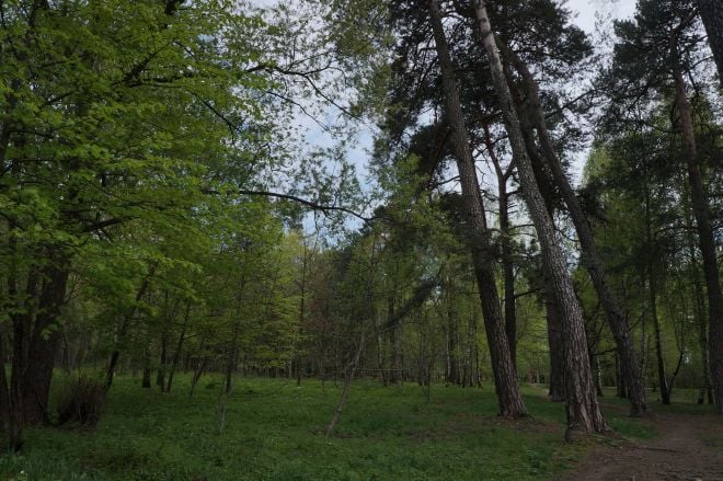 На Шепетівщині розташований один із найбільших заказників області - Лизнявський