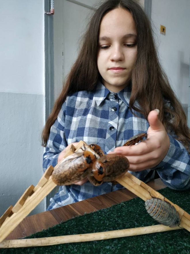 Шепетівчанка привезла нагороду з Всеукраїнського конкурсу юних зоологів