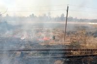 У Шепетівці горіло 300 квадратних метрів сухої рослинності