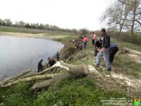 Активісти розпочали благоустрій 4-х ставків