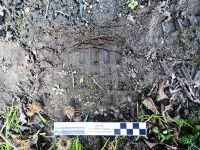 Затримали серійного злодія, на рахунку якого 13 крадіжок (ФОТО)